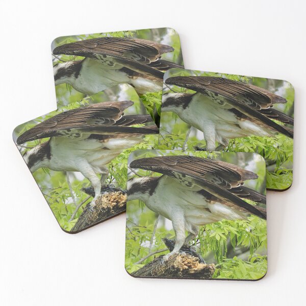Item preview, Osprey landing in tree designed and sold by KDartisticeye.