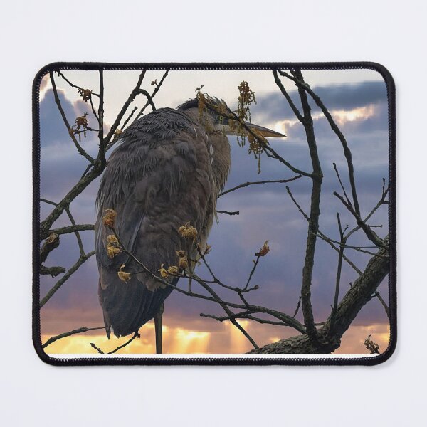 Item preview, Great Blue Herron designed and sold by KDartisticeye.