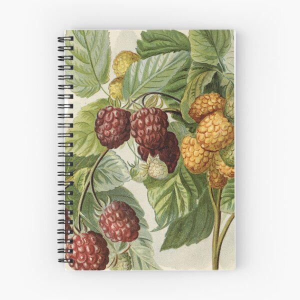 Item preview, Here We Go Round the Mulberry Bush designed and sold by ZinZoe.