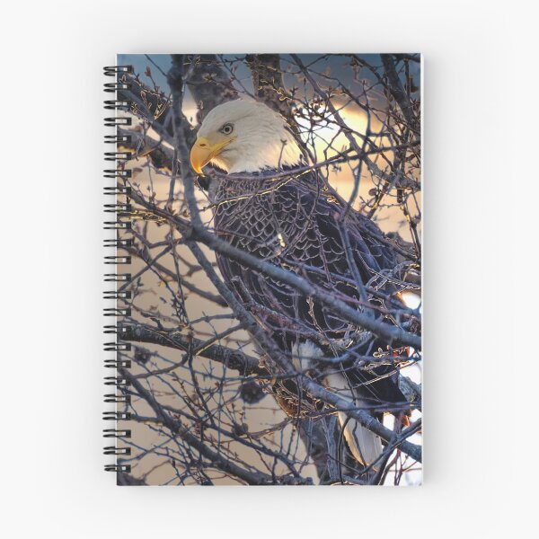 Item preview, Bald Eagle in tree designed and sold by KDartisticeye.