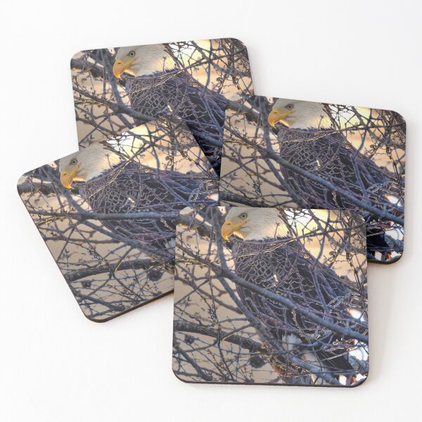 Item preview, Bald Eagle in tree designed and sold by KDartisticeye.