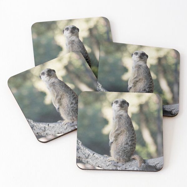 Item preview, suricate meerkat mongoose designed and sold by Nikoleta Vukovic.