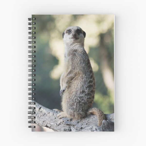 Item preview, suricate meerkat mongoose designed and sold by Nikoleta Vukovic.