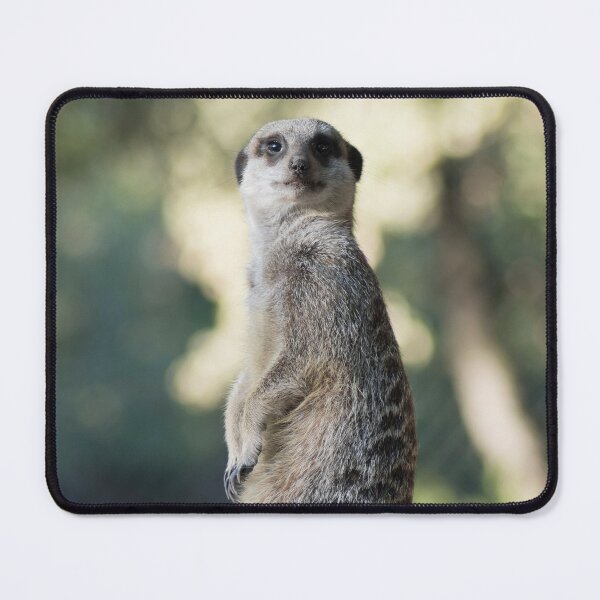 Item preview, suricate meerkat mongoose designed and sold by Nikoleta Vukovic.