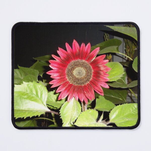 Item preview, Red Sunflower designed and sold by DBMenagerie.