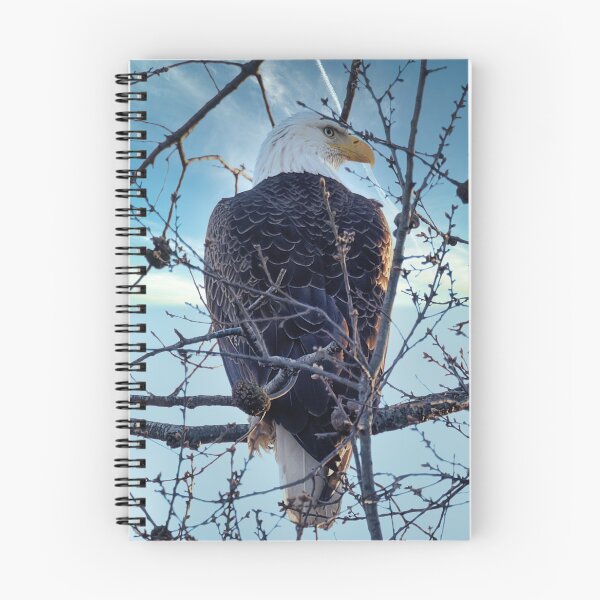 Item preview, Bald Eagle in tree designed and sold by KDartisticeye.
