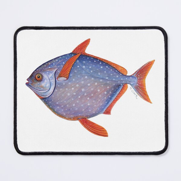 Item preview, Opah (Lampris guttatus) designed and sold by Tamara Clark.