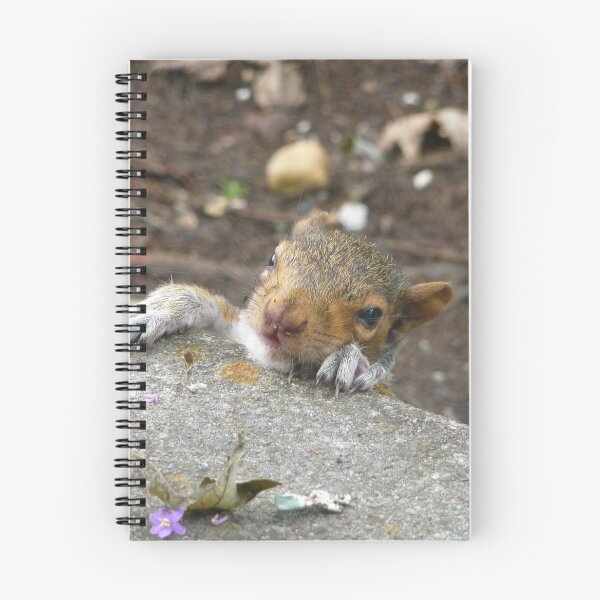 Item preview, Baby Squirrel  designed and sold by Reecethebeast.