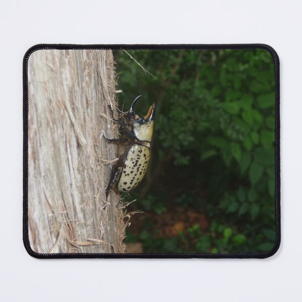 Item preview, Green Rhino Beetle designed and sold by Reecethebeast.