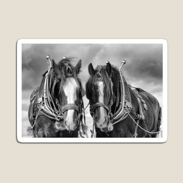 Item preview, Wilf and Juna designed and sold by Jane Horton.