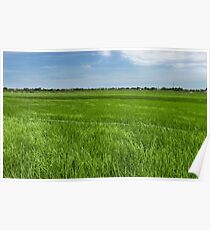 Hoi An Field. Poster