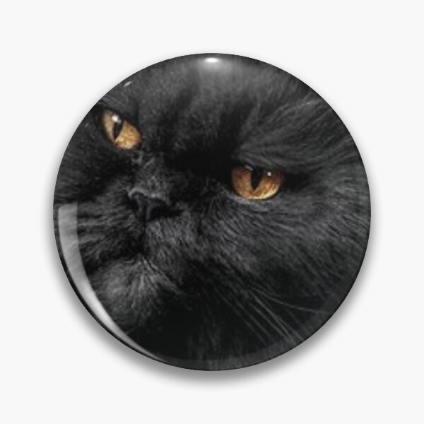 Item preview, Black cat designed and sold by RodrigoRosa.