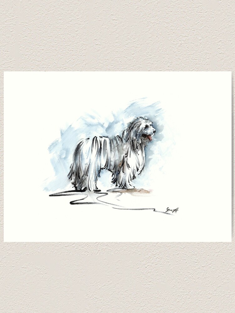 Hunde Ideen Aquarellmalerei Wohnkultur Komondor Kunstdruck Von Mariuszszmerdt Redbubble