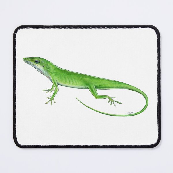 Item preview, Green Anole Lizard designed and sold by Tamara Clark.