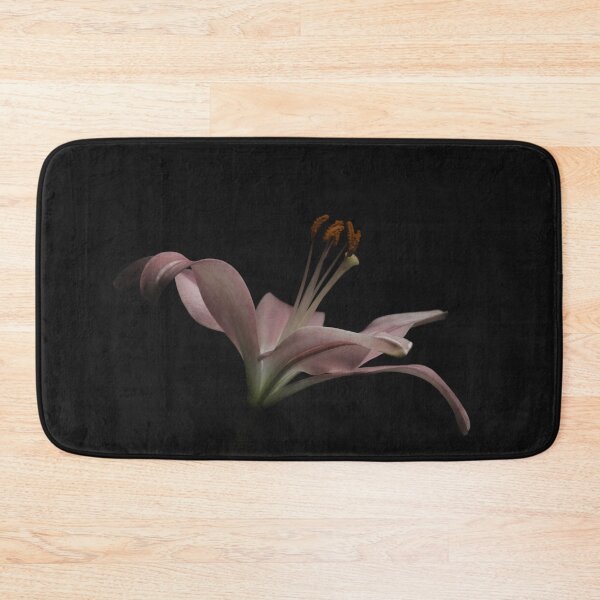 Item preview, Pink lily on black background - Garden designed and sold by Lisa Thomas.