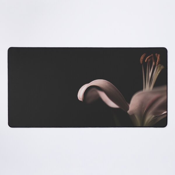 Item preview, Pink Lily on Black Background Fine Art  designed and sold by Lisa Thomas.
