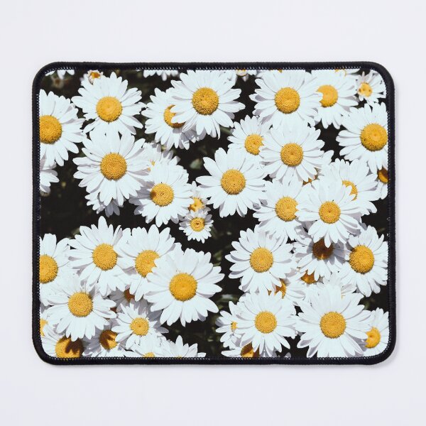Item preview, White Daisy Flowers Blooming  designed and sold by newburyboutique.