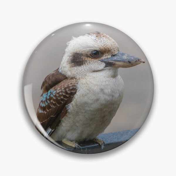 Item preview, Kookaburra Australian Bird Profile Pic designed and sold by SafariByMarisa.