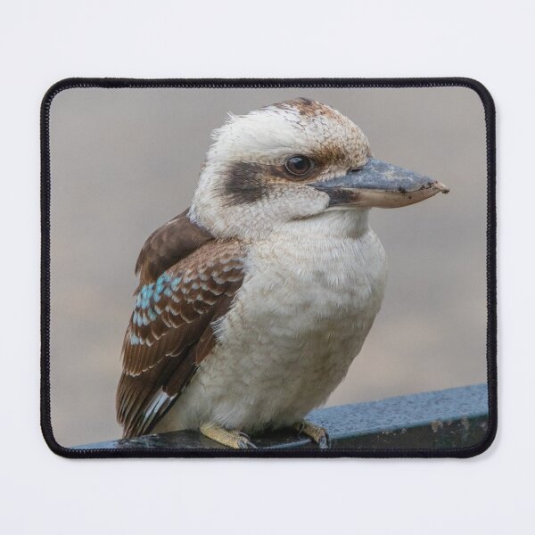 Item preview, Kookaburra Australian Bird Profile Pic designed and sold by SafariByMarisa.