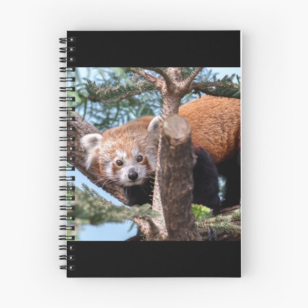 Item preview, Red Panda designed and sold by Natural-Arts.