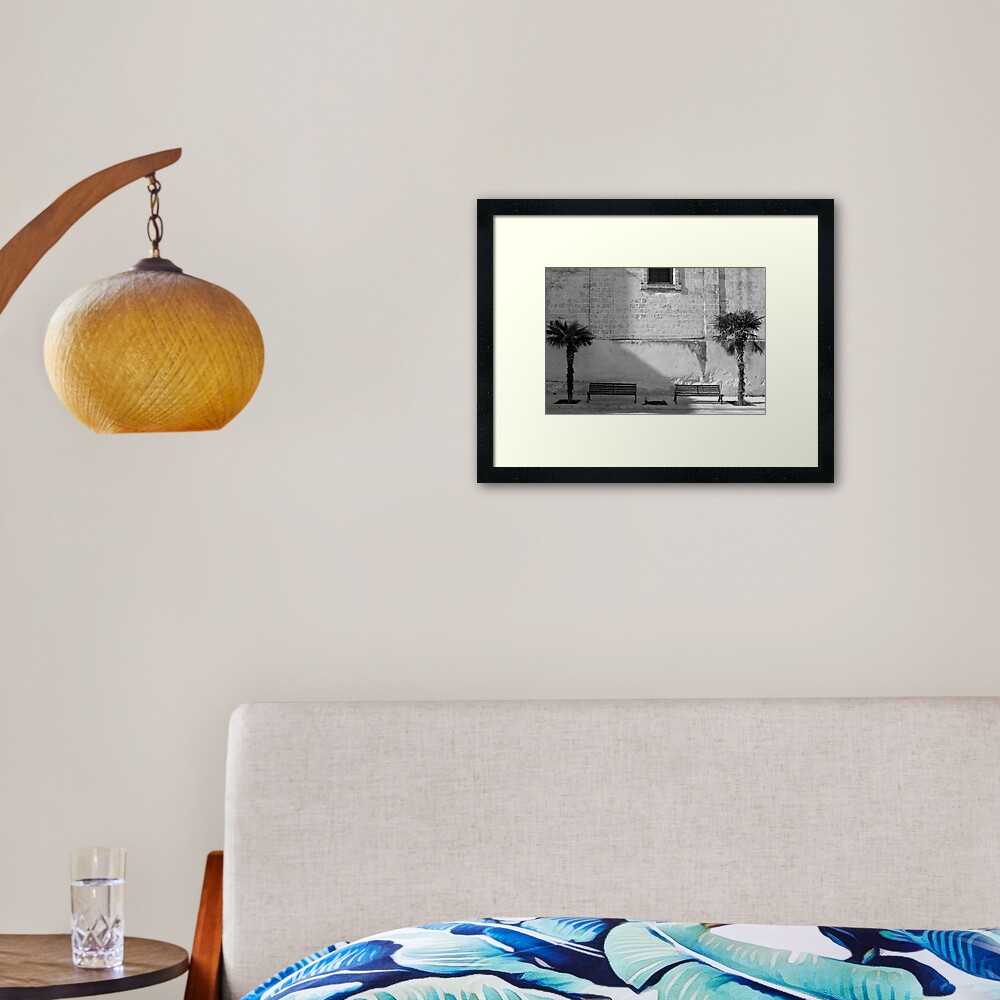 Monochrome bench and trees, Puglia Framed Art Print