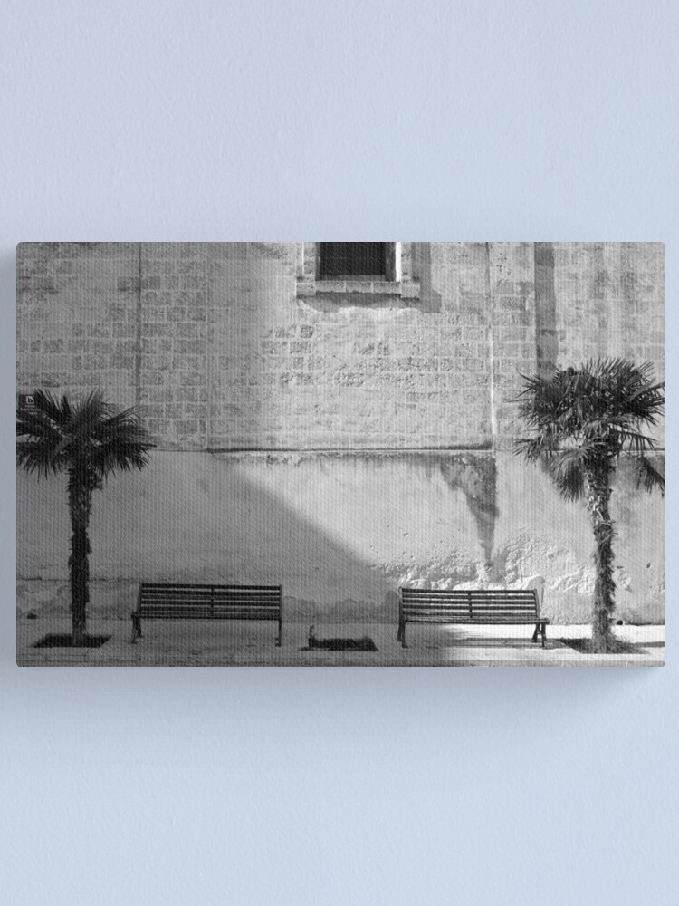 Alternate view of Monochrome bench and trees, Puglia Canvas Print
