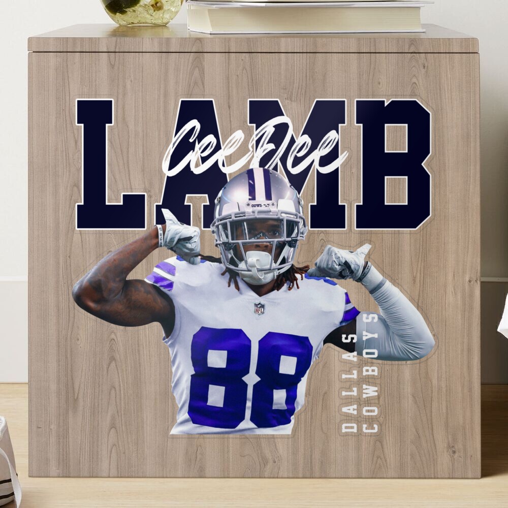 Dallas Cowboys NFL Wall Border Sports Decor