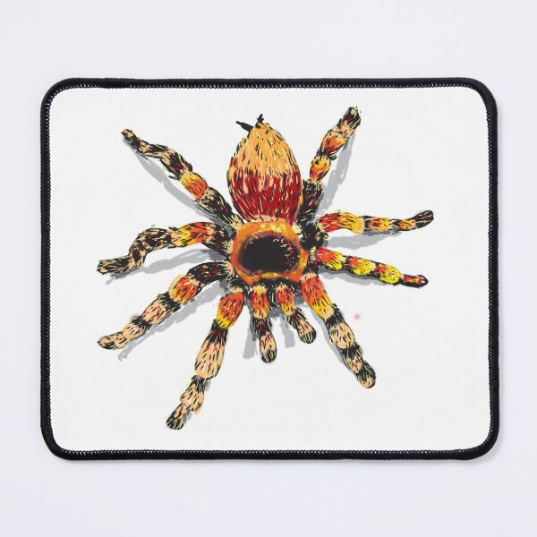 Item preview, Red Kneed Tarantula designed and sold by MerkabArt.