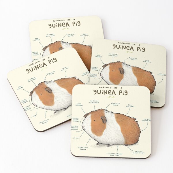 Item preview, Anatomy Of A Cute Guinea Pig designed and sold by AletacStore.