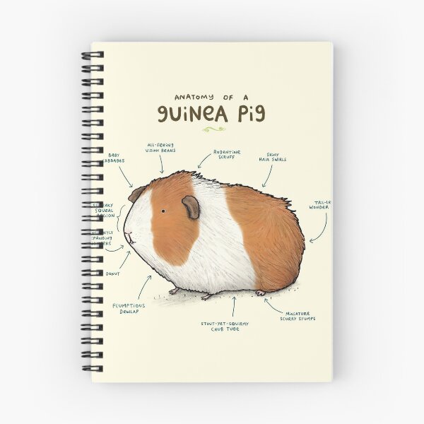 Item preview, Anatomy Of A Cute Guinea Pig designed and sold by AletacStore.