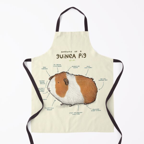 Item preview, Anatomy Of A Cute Guinea Pig designed and sold by AletacStore.