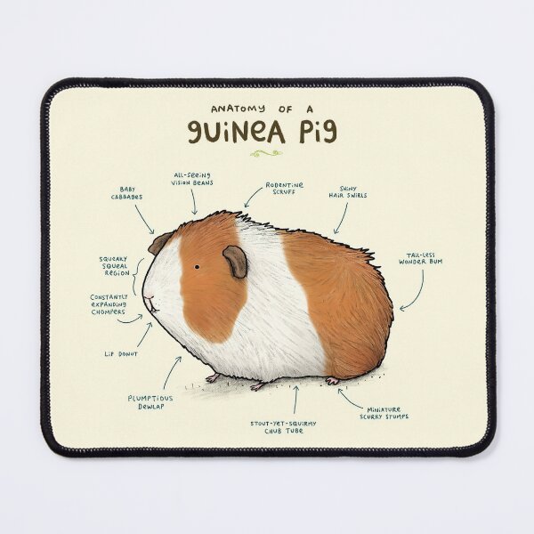 Item preview, Anatomy Of A Cute Guinea Pig designed and sold by AletacStore.