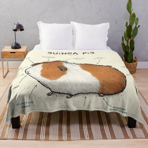 Item preview, Anatomy Of A Cute Guinea Pig designed and sold by AletacStore.