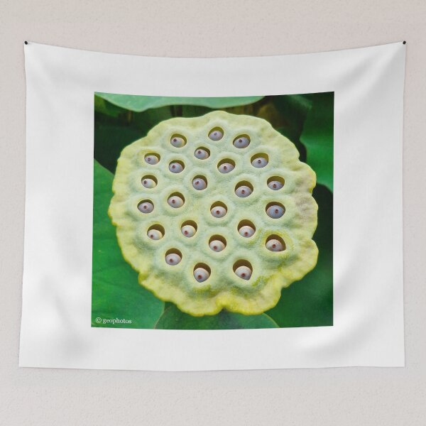 Item preview, Now look here... designed and sold by George Petrovsky.
