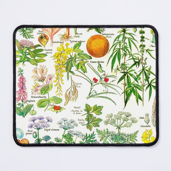 Item preview, Dangerous Plants Scientific Illustration - 1912 designed and sold by RPGHaven.