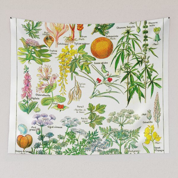 Item preview, Dangerous Plants Scientific Illustration - 1912 designed and sold by RPGHaven.
