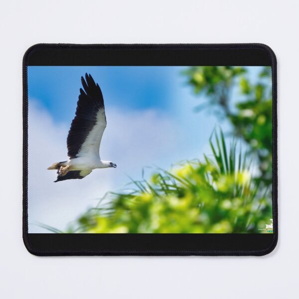 Item preview, White-Bellied Sea Eagle designed and sold by Natural-Arts.