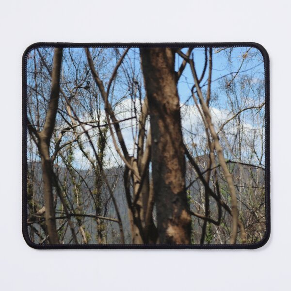 Item preview, After designed and sold by Jodie Cooper.