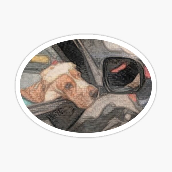 Dog driving a car Sticker