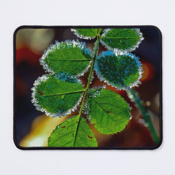 Item preview, Frosty leaf designed and sold by Anita van Gendt.
