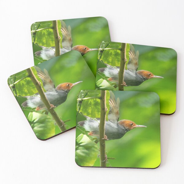 Item preview, Ceniciento Tailorbird designed and sold by Natural-Arts.