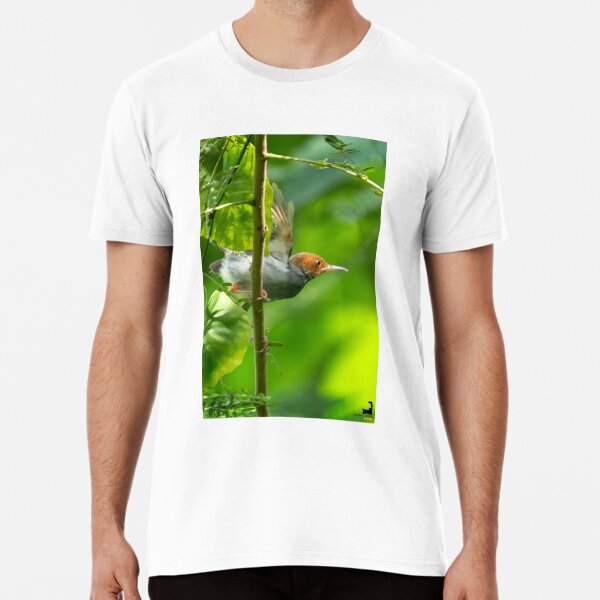 Tailor bird shirts