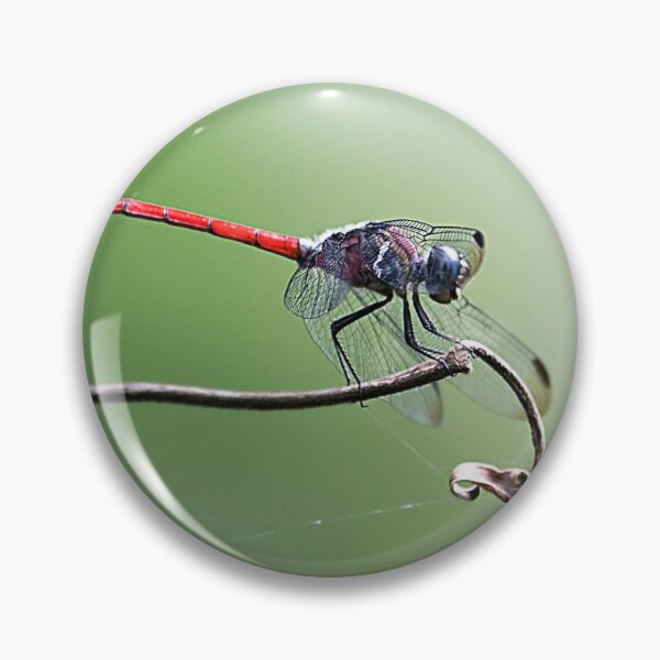 Item preview, Spine-tufted Skimmer designed and sold by Natural-Arts.