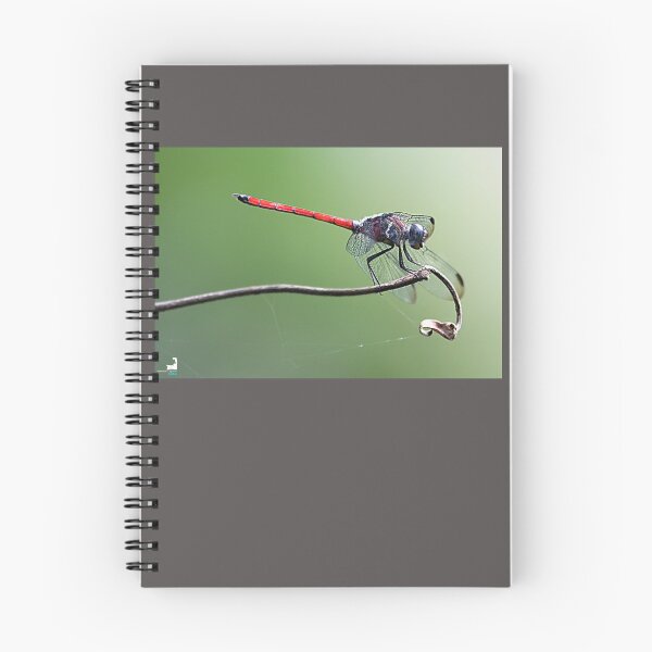 Item preview, Spine-tufted Skimmer designed and sold by Natural-Arts.
