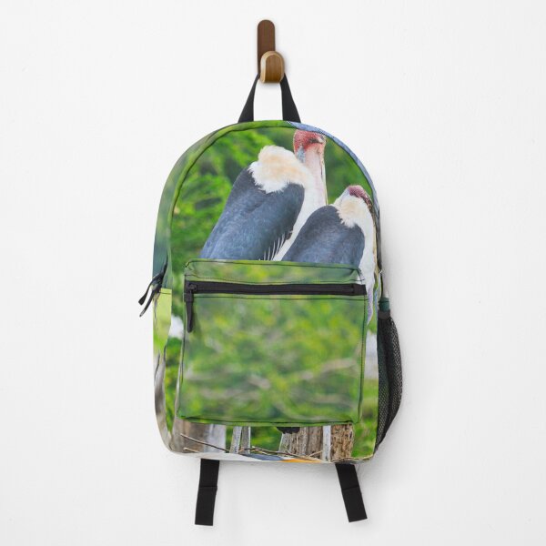 Item preview, pelican photo with high resolution quality designed and sold by Allyouneed-2.