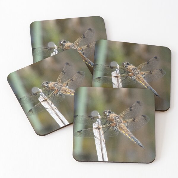 Item preview, Four Spotted Chaser designed and sold by Chris Monks.