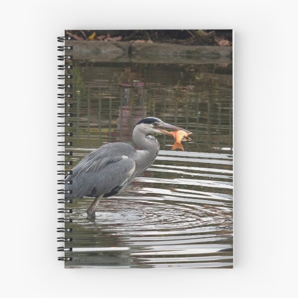 Item preview, Grey Heron with Goldfish designed and sold by Chris Monks.