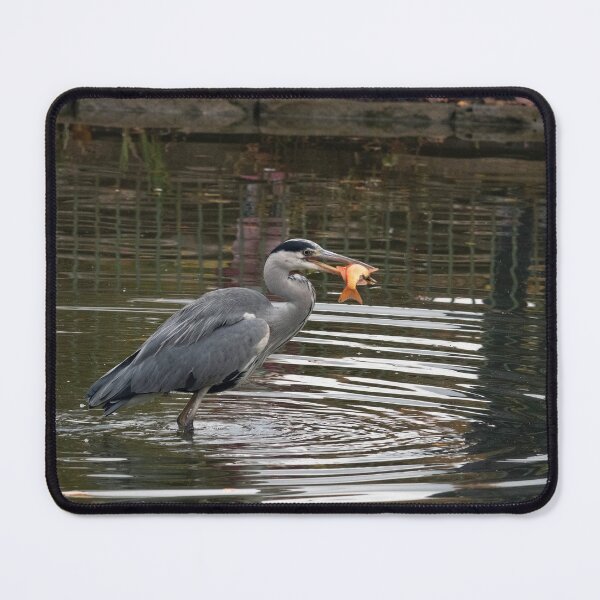 Item preview, Grey Heron with Goldfish designed and sold by Chris Monks.