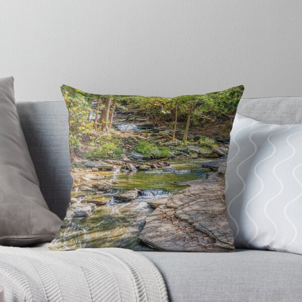 Item preview, Flowing Tanyard Creek designed and sold by mljdwhite.