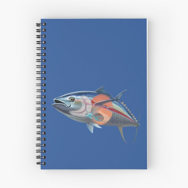 Item preview, Tuna Fish Anatomy designed and sold by LeoXiang.